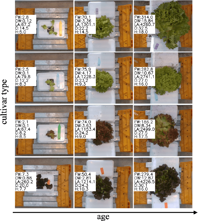 Figure 1 for Simultaneously Predicting Multiple Plant Traits from Multiple Sensors via Deformable CNN Regression