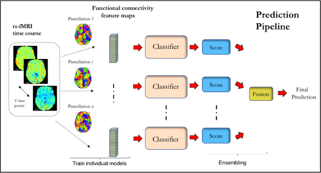 Figure 1 for Ensemble learning with 3D convolutional neural networks for connectome-based prediction