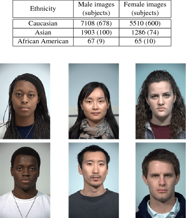 Figure 2 for SREFI: Synthesis of Realistic Example Face Images