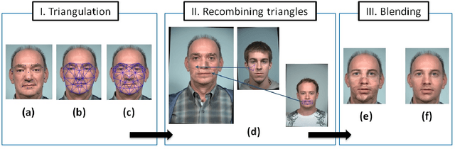 Figure 3 for SREFI: Synthesis of Realistic Example Face Images