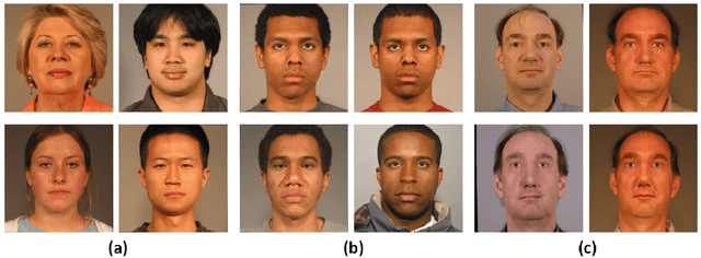 Figure 4 for SREFI: Synthesis of Realistic Example Face Images