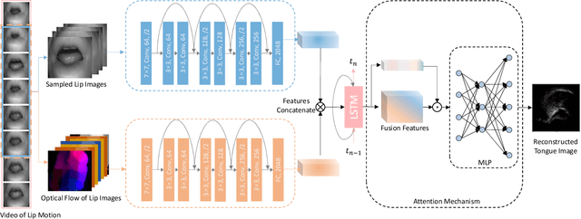 Figure 1 for Improving Ultrasound Tongue Image Reconstruction from Lip Images Using Self-supervised Learning and Attention Mechanism