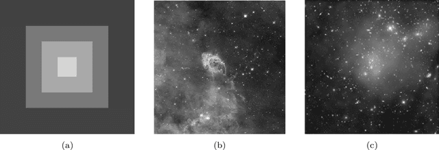 Figure 3 for On Hamilton-Jacobi PDEs and image denoising models with certain non-additive noise