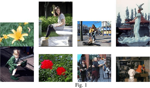 Figure 1 for Picture Collage with Genetic Algorithm and Stereo vision