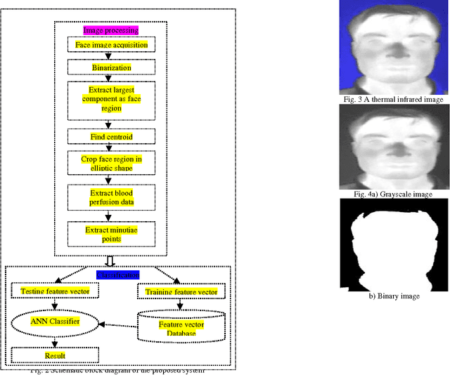 Figure 3 for Minutiae Based Thermal Human Face Recognition using Label Connected Component Algorithm