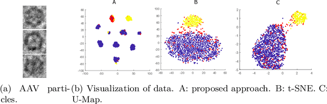 Figure 3 for Orthogonalization of data via Gromov-Wasserstein type feedback for clustering and visualization