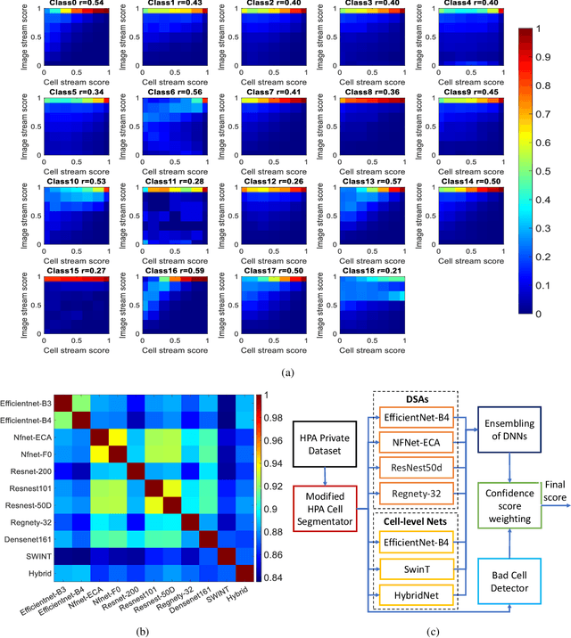 Figure 4 for Subcellular Protein Localisation in the Human Protein Atlas using Ensembles of Diverse Deep Architectures