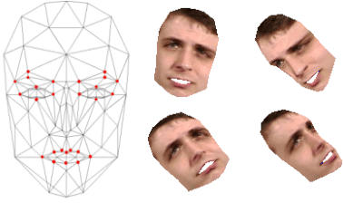 Figure 1 for 3D Face Pose and Animation Tracking via Eigen-Decomposition based Bayesian Approach