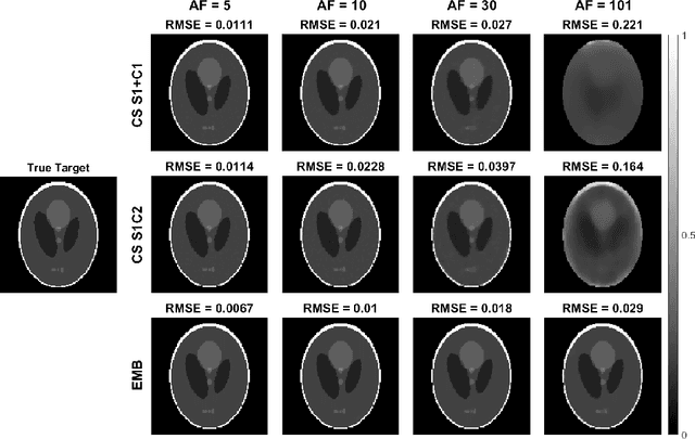 Figure 3 for Embedded quantitative MRI T1rho mapping using non-linear primal-dual proximal splitting