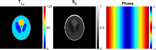 Figure 1 for Embedded quantitative MRI T1rho mapping using non-linear primal-dual proximal splitting