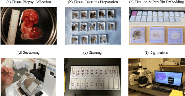 Figure 2 for Deep Learning Models for Digital Pathology