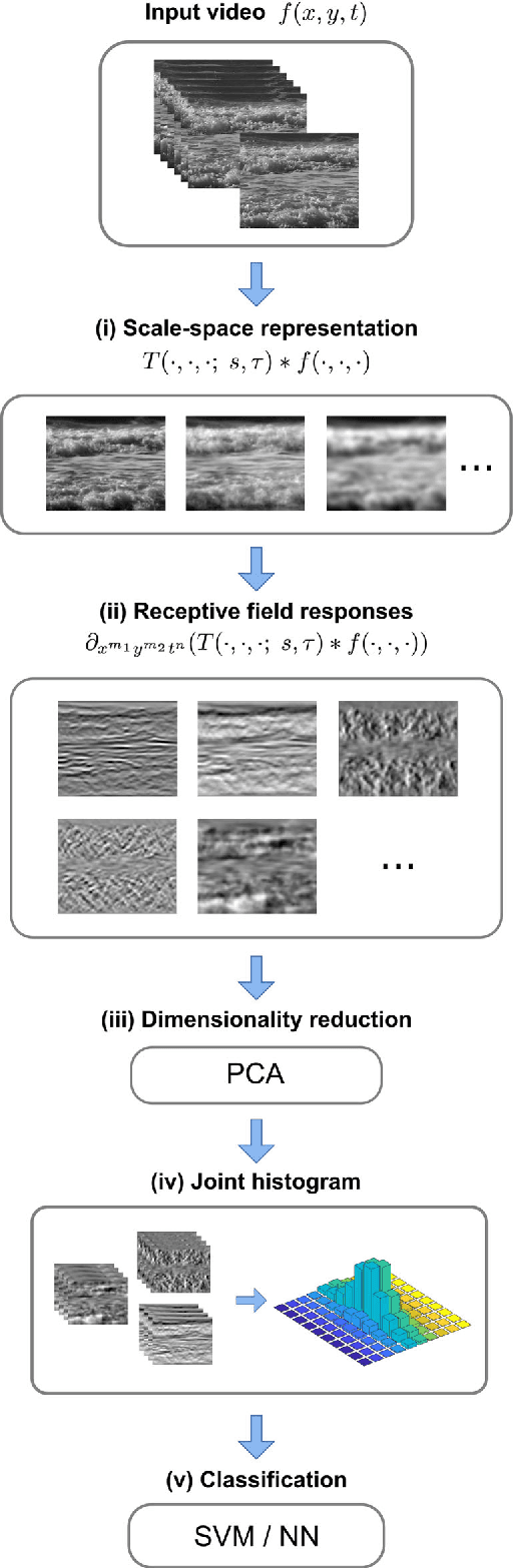 Figure 3 for Dynamic texture recognition using time-causal and time-recursive spatio-temporal receptive fields