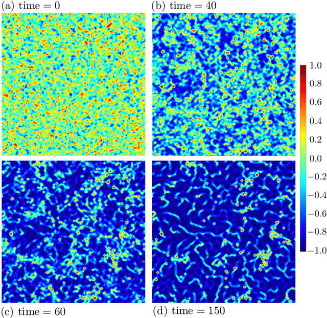 Figure 3 for Machine learning dynamics of phase separation in correlated electron magnets