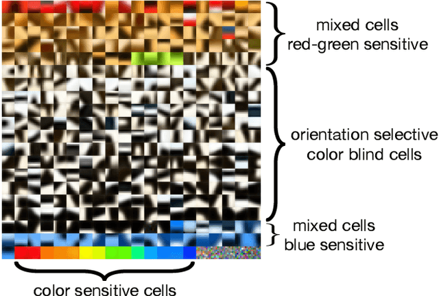 Figure 1 for Local Unsupervised Learning for Image Analysis