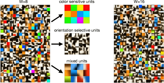 Figure 3 for Local Unsupervised Learning for Image Analysis