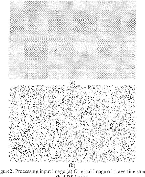 Figure 2 for Texture Classification Approach Based on Combination of Edge & Co-occurrence and Local Binary Pattern