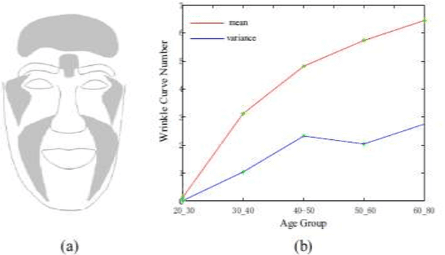 Figure 1 for An Overview of Two Age Synthesis and Estimation Techniques