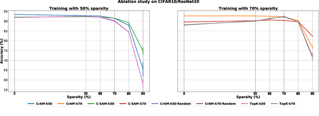 Figure 3 for CrAM: A Compression-Aware Minimizer