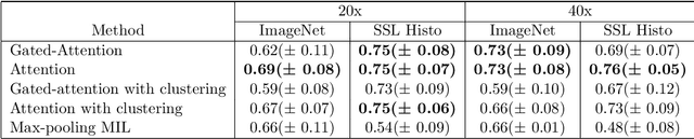 Figure 4 for Weakly-supervised learning for image-based classification of primary melanomas into genomic immune subgroups