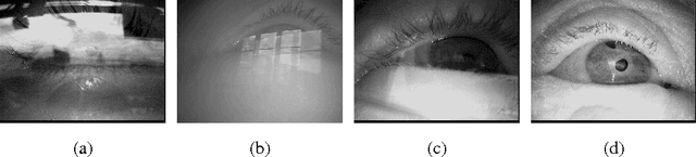 Figure 1 for PupilNet v2.0: Convolutional Neural Networks for CPU based real time Robust Pupil Detection