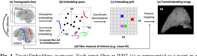 Figure 1 for TractoFormer: A Novel Fiber-level Whole Brain Tractography Analysis Framework Using Spectral Embedding and Vision Transformers