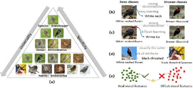 Figure 1 for Multi-Knowledge Fusion for New Feature Generation in Generalized Zero-Shot Learning
