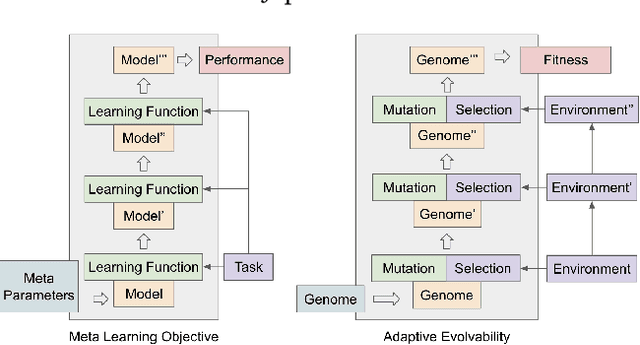 Figure 1 for Population-Based Evolution Optimizes a Meta-Learning Objective