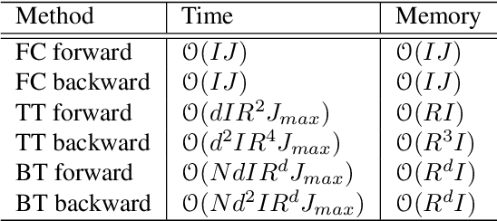 Figure 2 for Block-term Tensor Neural Networks