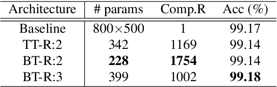 Figure 4 for Block-term Tensor Neural Networks