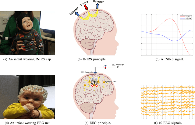 Figure 1 for Towards Understanding Human Functional Brain Development with Explainable Artificial Intelligence: Challenges and Perspectives