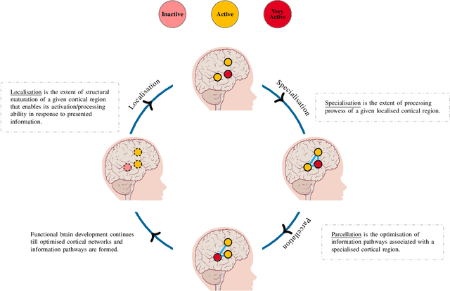 Figure 2 for Towards Understanding Human Functional Brain Development with Explainable Artificial Intelligence: Challenges and Perspectives