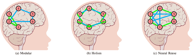 Figure 3 for Towards Understanding Human Functional Brain Development with Explainable Artificial Intelligence: Challenges and Perspectives