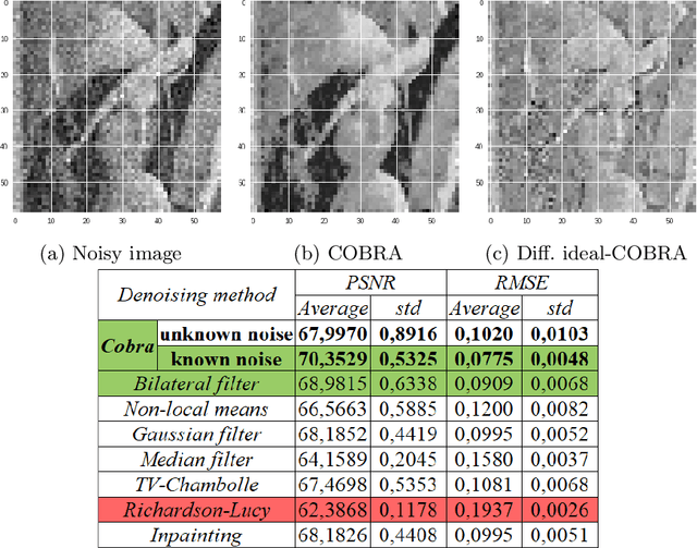 Figure 3 for Non-linear aggregation of filters to improve image denoising