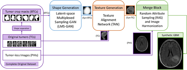 Figure 2 for SAGE: Sequential Attribute Generator for Analyzing Glioblastomas using Limited Dataset