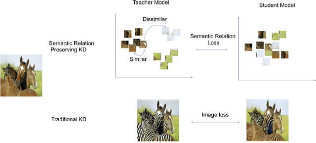 Figure 1 for Semantic Relation Preserving Knowledge Distillation for Image-to-Image Translation