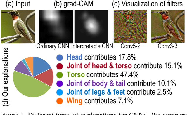 Figure 1 for Explaining Neural Networks Semantically and Quantitatively