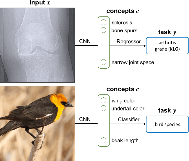 Figure 1 for Concept Bottleneck Models