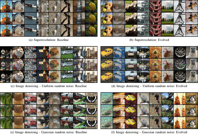 Figure 1 for Evolutionary Neural Architecture Search for Image Restoration