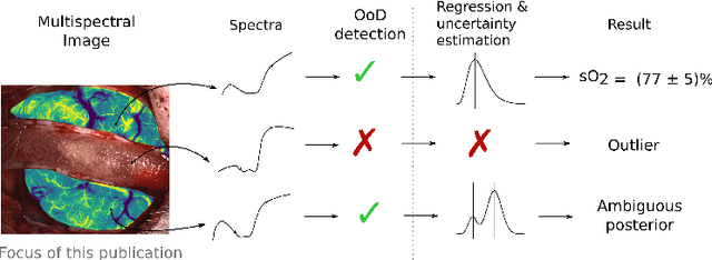 Figure 1 for Out of distribution detection for intra-operative functional imaging