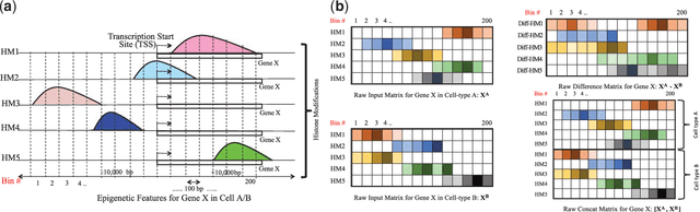Figure 1 for DeepDiff: Deep-learning for predicting Differential gene expression from histone modifications