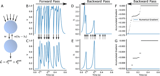 Figure 2 for EventProp: Backpropagation for Exact Gradients in Spiking Neural Networks