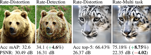 Figure 1 for End-to-end optimized image compression for multiple machine tasks