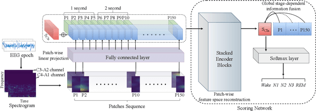 Figure 4 for Enhancement on Model Interpretability and Sleep Stage Scoring Performance with A Novel Pipeline Based on Deep Neural Network