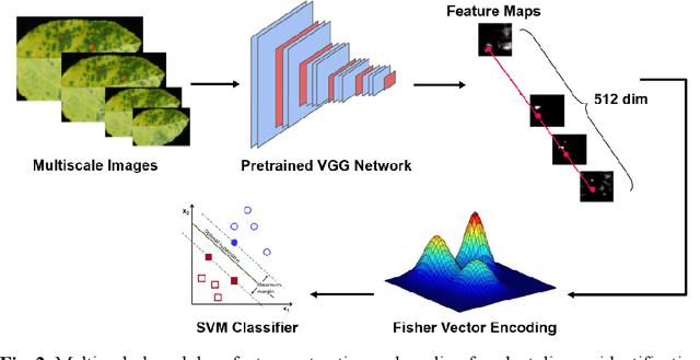 Figure 3 for Apple Leaf Disease Identification through Region-of-Interest-Aware Deep Convolutional Neural Network