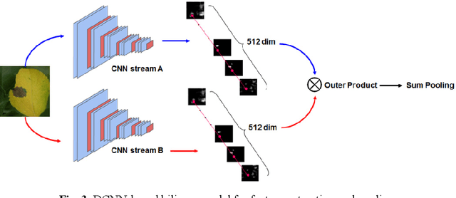 Figure 4 for Apple Leaf Disease Identification through Region-of-Interest-Aware Deep Convolutional Neural Network