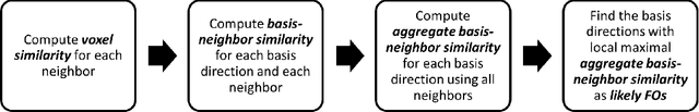 Figure 4 for Estimation of Fiber Orientations Using Neighborhood Information