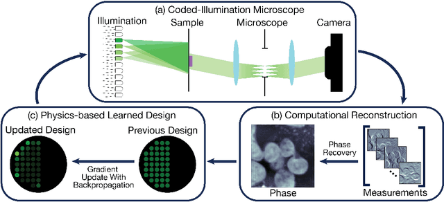 Figure 1 for Physics-based Learned Design: Optimized Coded-Illumination for Quantitative Phase Imaging