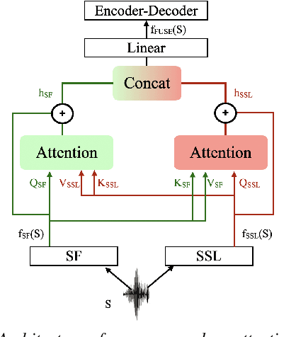 Figure 1 for Combining Spectral and Self-Supervised Features for Low Resource Speech Recognition and Translation