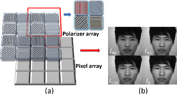 Figure 1 for Face Anti-Spoofing by Learning Polarization Cues in a Real-World Scenario