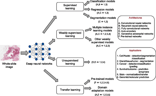 Figure 3 for Deep neural network models for computational histopathology: A survey